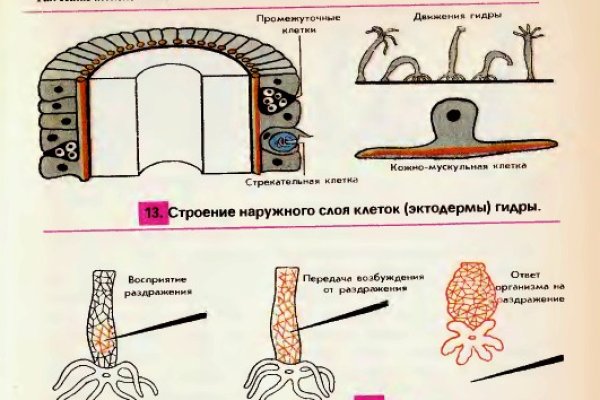 Кракен соль